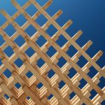 SPLAM 5 _ Kendall McCaugherty © Hall+Merrick Photographers