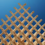 SPLAM 6 _ Kendall McCaugherty © Hall+Merrick Photographers