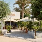 Aptitude Café - Cultural District_Abu Dhabi, UAE (2)