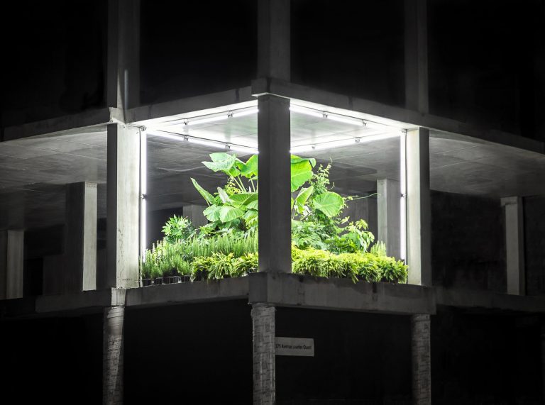 Room 202, Mile End Hotel, Montreal, Canada.10