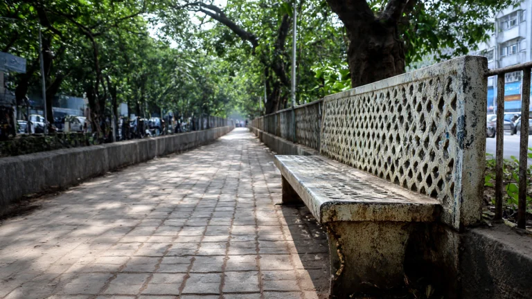 hostile_architecture_in_india_urban_beauty_at (5)