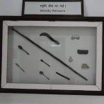 Birla House (Gandhi Smriti) (4)