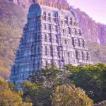 Tirumala Tirupati Temple1 (5)
