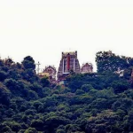 Tirumala Tirupati Temple2 (2)