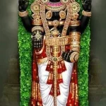 Tirumala Tirupati Temple2 (3)