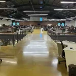 Inside Zoho office22