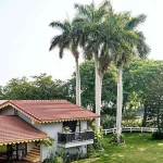 Adar & Natasha Poonawalla’s Farmhouse (4)