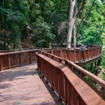 Malabar Hill Walkway (12)