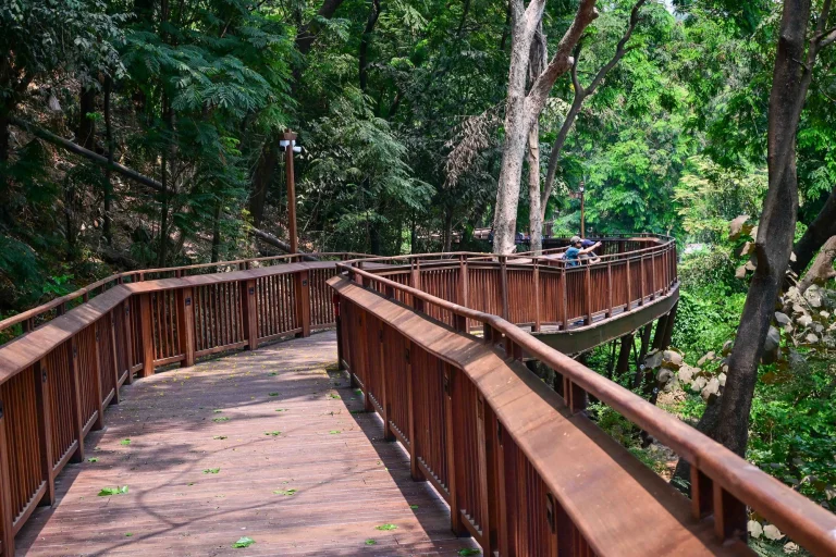 Malabar Hill Walkway (12)