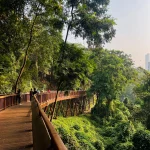 Malabar Hill Walkway (14)