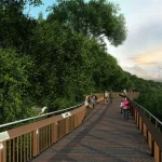 Malabar Hill Walkway (16)