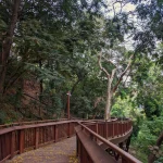 Malabar Hill Walkway (20)