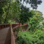 Malabar Hill Walkway (21)