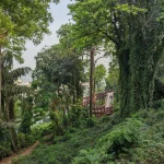 Malabar Hill Walkway (23)