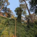 Malabar Hill Walkway (25)