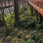 Malabar Hill Walkway (26)