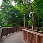 Malabar Hill Walkway (3)