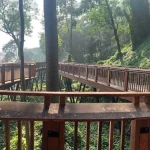 Malabar Hill Walkway (5)