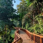 Malabar Hill Walkway (7)