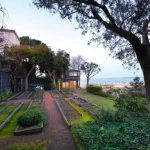 Sam Altman’s house (2)