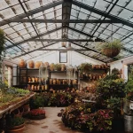 Bring Nature Indoors