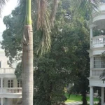 Lakshmi Mittal's Bungalow No 22 in New Delhi