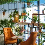 Nature-Inspired (Biophilic) Design