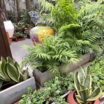 The Kamath family home (7)