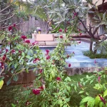 Akshay Kumar House (10)