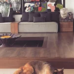 Akshay Kumar House (13)