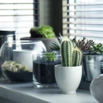 Home decor ideas - Personalize with Decor Pieces