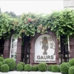 Manoj & Manju Gaur House (7)