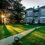 Chail Palace1 (3)