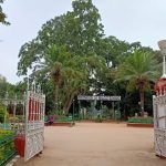 Lalbagh Botanical Garden, Bangalore (1)