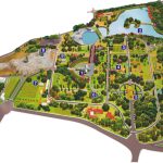 Lalbagh Botanical Garden, Bangalore (3)