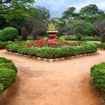 Lalbagh Botanical Garden, Bangalore (8)