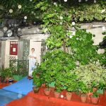 Mamata Banerjee House (7)