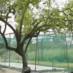 Vaibhav Sooryavanshi Home (5)