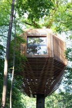 uploaded_files/project/thumb_
atelier-lavit---origin-tree-house-2-1519106146.jpg